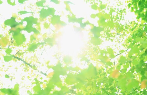 リラクゼーションサロン CottonCandyの痛くないハーブピーリングで肌質改善!!